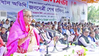 No comparison can be drawn between AL-BNP: PM