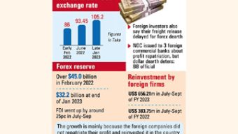 Profit repatriation stalemate ups MNCs’ reinvestment