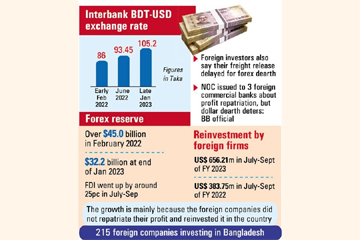 Profit repatriation stalemate ups MNCs’ reinvestment