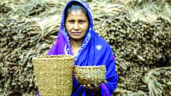 How the ‘harmful’ water hyacinth is creating employment for thousands of women