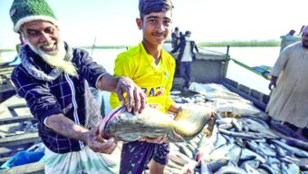 Inside the morning rush in Balikhola, the 150-year-old market for freshwater fish