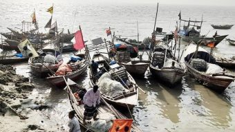 Hilsa fishing banned in Megna River for 2 months