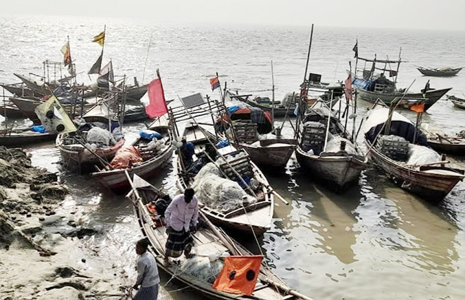 Hilsa fishing banned in Megna River for 2 months