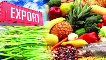 Agri export suffers sharpest decline in 7 years