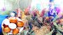 Farmers seek govt intervention to fix chicken, eggs prices