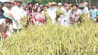 State minister, MP help farmers harvest paddy