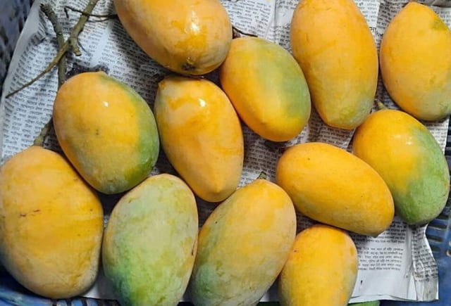 Rajshahi’s mango to export to Italy