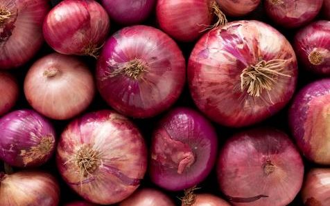 Govt to give permission of onion import from tomorrow