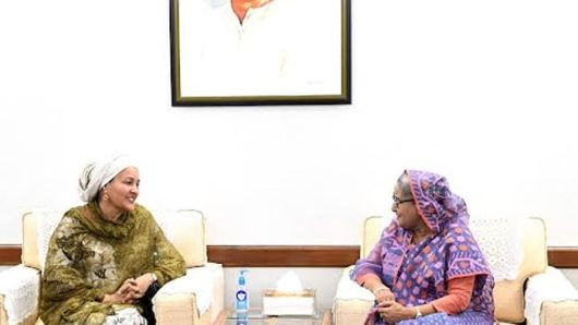UN DSG pays courtesy call on PM