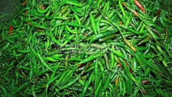 1.14 lakh kilograms of green chilli imported on Sunday