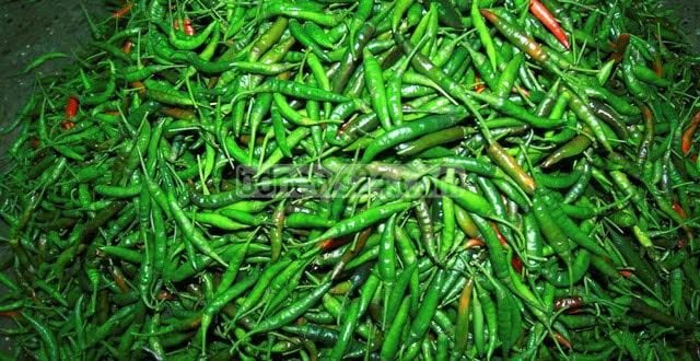 1.14 lakh kilograms of green chilli imported on Sunday