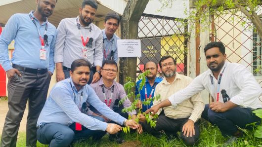 AB Bank Ltd Kalampur branch is planting trees on the occasion of National Mourning Day along with other officials of the branch manager Ashfaq Ahmed.