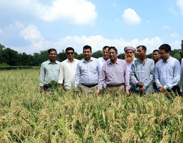 Fast-growing T. Aus rice variety BRRI 98 has huge potential: Razzaque