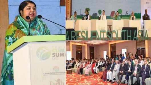 Speaker stresses innovative sustainable solution to tackle environmental risk