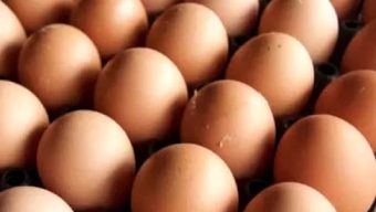 In the capital, eggs are sold in trucks for 12 taka