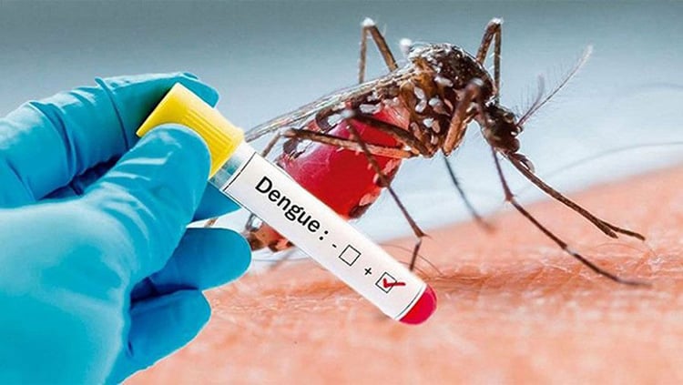 12 died in last 24 hours due to dengue, 1,558 new cases
