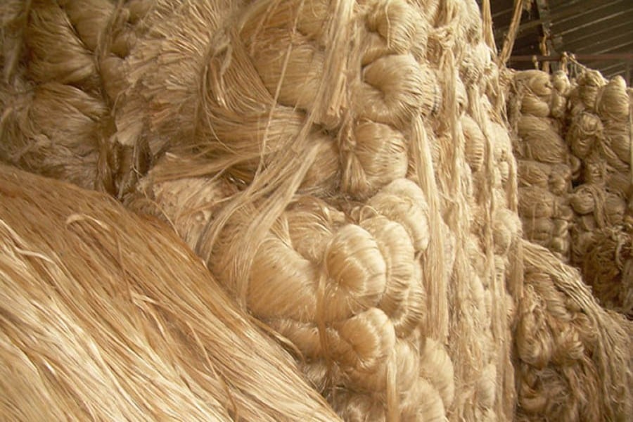 Govt to provide Tk 7.49cr intensive to boost jute production