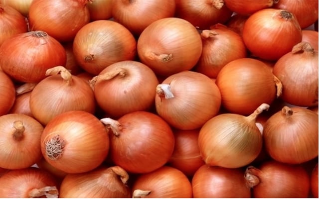 India to export 50,000 tonnes of onion to Bangladesh: report