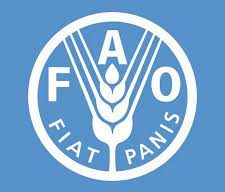FAO supports Bangladesh in strengthening pesticide regulations
