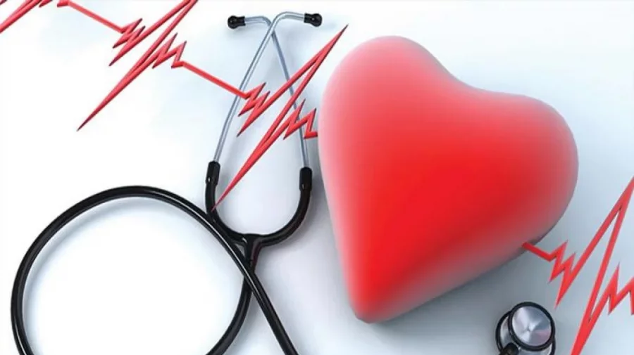 Cardiovascular health can be improved by strengthening pry healthcare: Experts