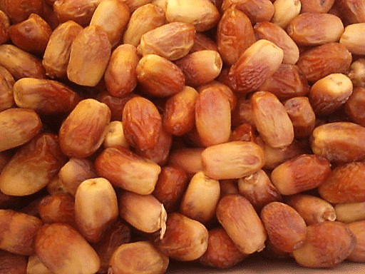 Govt fixes date prices for Ramadan