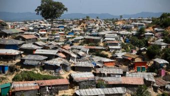 UNHCR, partners seek $852.4m to support Rohingyas, host communities