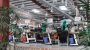 RMG to major export destinations in Europe witness healthy growth