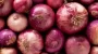 Govt to import 50,000 metric tons of onion from India