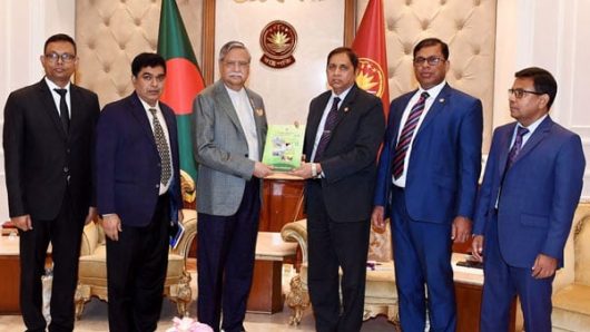 President asks BERC to explore new energy sources