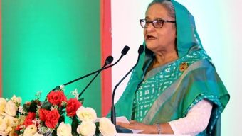 PM seeks private initiatives for livestock, fisheries sector’s development