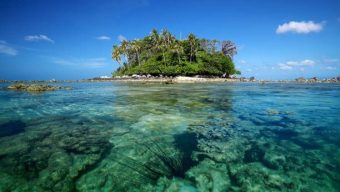 Thailand closes island after coral bleaching found