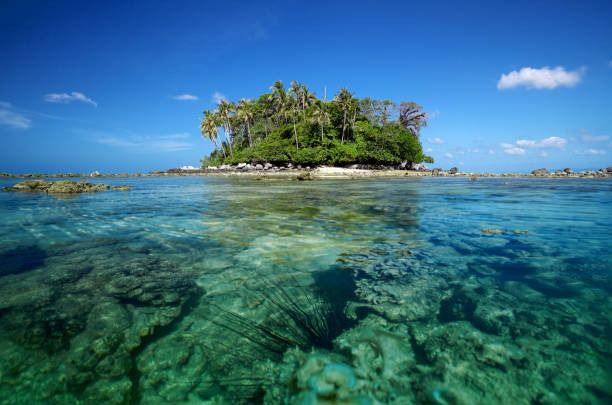 Thailand closes island after coral bleaching found