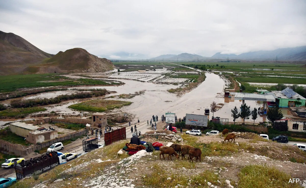 More than 200 dead in Afghanistan flash floods: UN