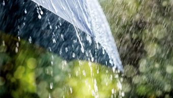 Light to moderate rain likely over country