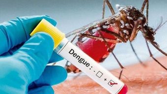 103 dengue patients hospitalized