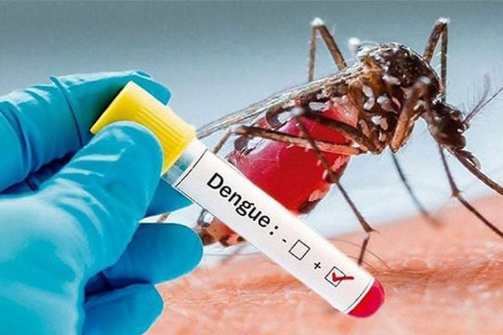 103 dengue patients hospitalized