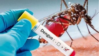 Experts for taking coordinated efforts to prevent dengue 