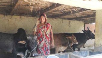 Ektee Bari Ektee Khamar project benefits 4,70,556 destitute in Mymensingh