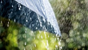 Light to moderate rain likely over country