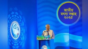 Protect nature to save fish species: Prof Yunus