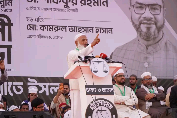 Taking thieves and robbers to parliament cannot free them-Dr. Shafiq