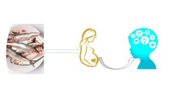 Sardine Saga: Impacts on Human Cognitive Development